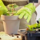 의성군청(1층) 이미지