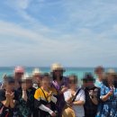 제주 쏠라티 렌트, 제주도 기사 포함 투어 이용 후기와 정보 공유