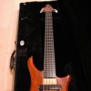 알렘빅(Alembic) 에센스(Essence) 5현 이미지