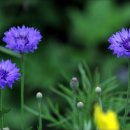 농업테마파크 이미지