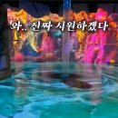 월드미디어 | 워터월드 제주 할인 준비물 미디어아트 주차 후기