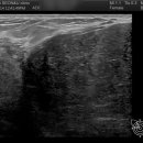 연세선앤유외과의원 이미지