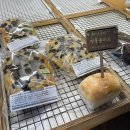 홈카페-인스타에 담고 싶은 음료 만들기 | 제주 한림카페 동명동락 혈당스파이크 걱정 없는 착한 빵 후기