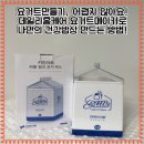 요거트 만들기, 어렵지 않아요! 데일리홈케어 요거트메이커로 건강한 그릭요거트 만드는 법!