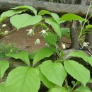 보성꽃식물원 이미지