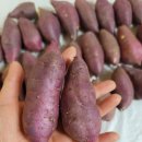 대림농산 이미지