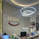 코코애견클럽 이미지