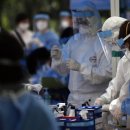 신하초교 이미지