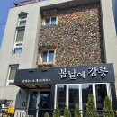 강릉게스트하우스봄날에강릉 | [강릉게스트하우스] 봄날에강릉 강릉여행 뚜벅이 여행 강릉월화거리감성숙소