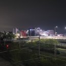 선유과선교 네이버블로그