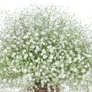 거창중앙고등학교 이미지