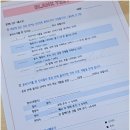 젬마영어