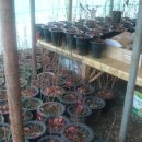 찬기농장 이미지