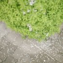 숲속정원펜션 이미지