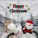 환해지개 이미지