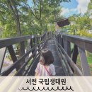 산양(산양보호구역) | 서천 국립생태원 에코리움 아이랑 갈만한 곳 추천