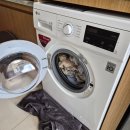 열린게임장 | 아이 둘과 바탐 한달살기 [에어비앤비숙소편] - Pollux Habbie Meisters