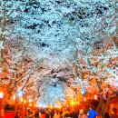 용산1리 마을회 이미지