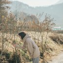 테테아테테(tete A tete) 네이버블로그