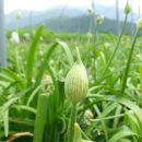 이랑이네 이미지