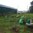 새마을농장 이미지