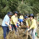 병무농장 이미지