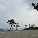 포항오션뷰캠핑장::백경오토캠핑장,펜션 이용후기::평일에 애견동반 가능해요:-)