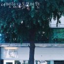 더벳한남동물병원 이미지