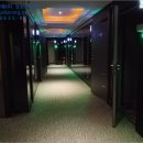 분당-249 이미지