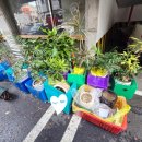 한백고은아파트 이미지