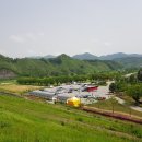 장성군 축령산 편백숲과 장성호수 둘레길을 다녀왔다 이미지