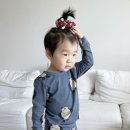 담순이네