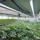 건국농원 이미지