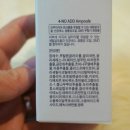 벨비조