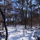 장원초등학교 이미지