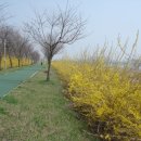 오학 걷고싶은거리 이미지