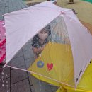 우산놀이 & 물풍선놀이 이미지