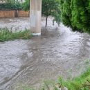 온천천일대10 이미지