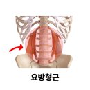 피트니스마틴 이미지
