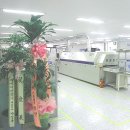 수원-0098 이미지