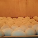 야망농장 이미지