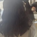 호텔박스천안터미널점 | [천안]천안 신부동 미용실 &#39;찰스리헤어테크 천안 신부터미널점&#39;에서 새치염색한 후기!
