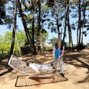 전북유아교육진흥원 | 전북유아교육진흥원 토요가족체험 | 김제석교분원 실외놀이 체험후기