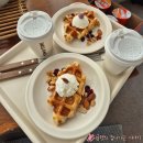 들꽃 | 양평ㅣ경기도 근교 여행 감성숙소 아이들과 펜션 연화도감 들꽃 내돈내산 후기 바베큐 마트 조식