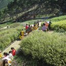 산청 동의보감촌 이미지