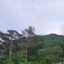 마운틴관광농원 | [밀양 캠핑장]자연 속 힐링 가득! 밀양 캠프밸리관광농원 커플 캠핑 후기