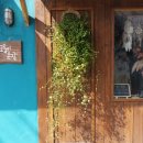 모퉁이돌집 민박 이미지