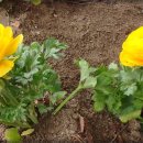 교동시장 1 이미지