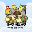 오렌지보틀장안점 | 장안동 아이랑 리프패럿 방문후기