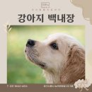 이산동물의료센터 | 시흥 능곡동 동물병원 이산동물의료센터에서 강아지 백내장에 대해 알려드립니다.